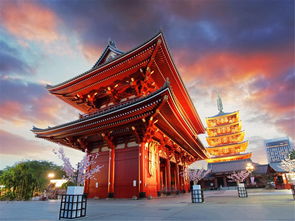 日本本州6或7日游 盛世京都 5晚优质酒店,miho美秀美术馆,茑屋书店,河口湖枫叶长廊,高赖川二条苑料理,京都深度游览 出发 途牛