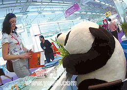 萌态可掬的熊猫招客秘诀